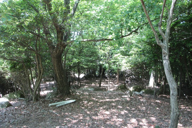 f:id:ksagi:20190628205737j:plain