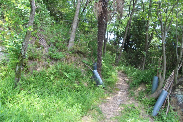 f:id:ksagi:20190628212315j:plain