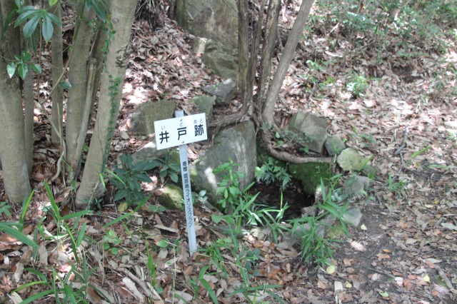 f:id:ksagi:20190628212330j:plain