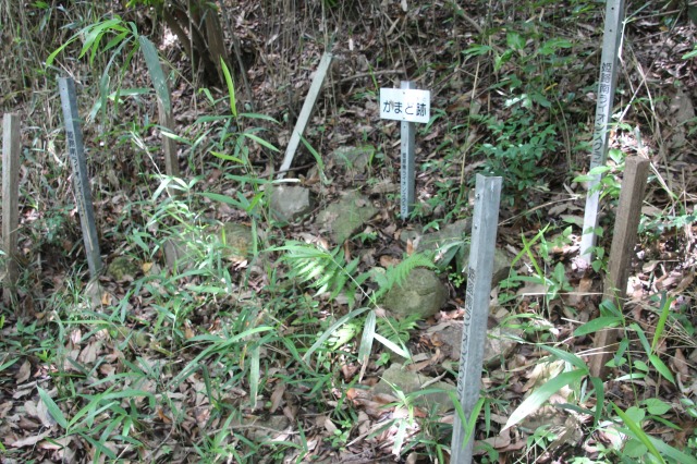 f:id:ksagi:20190628212343j:plain