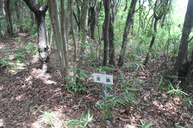 f:id:ksagi:20190628212459j:plain