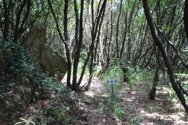 f:id:ksagi:20190628212541j:plain