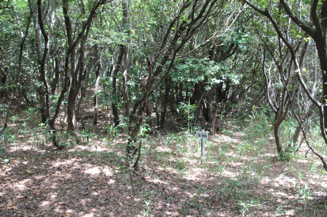 f:id:ksagi:20190628212600j:plain