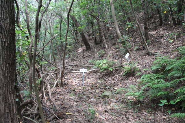 f:id:ksagi:20190628212832j:plain