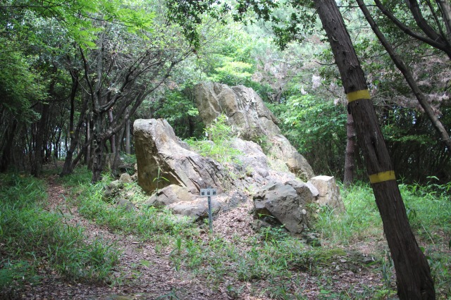 f:id:ksagi:20190628212908j:plain