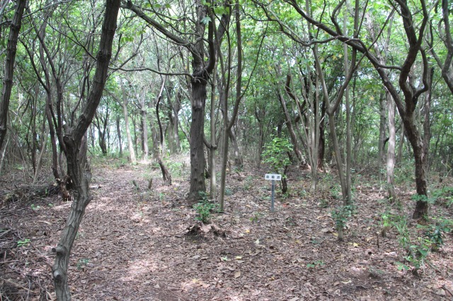 f:id:ksagi:20190628212928j:plain