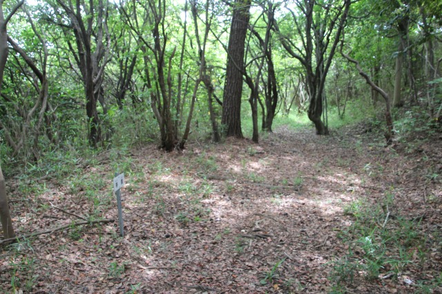 f:id:ksagi:20190628212958j:plain