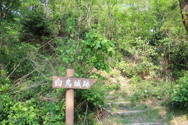 f:id:ksagi:20190630163916j:plain