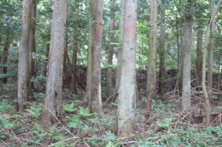 f:id:ksagi:20190630174130j:plain f:id:ksagi:20190630174130j:plain
