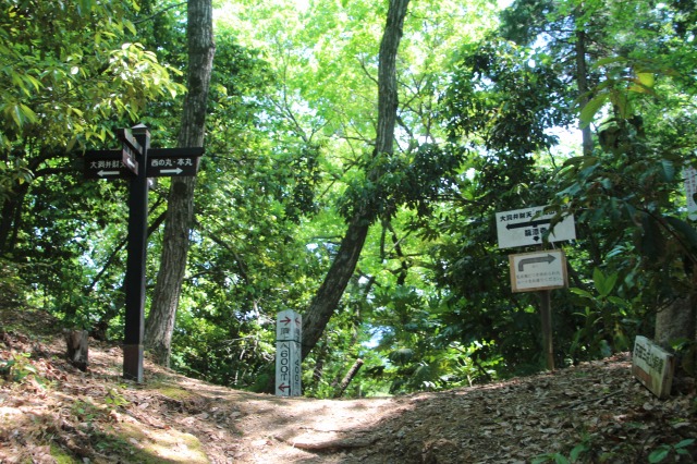 f:id:ksagi:20190630184405j:plain