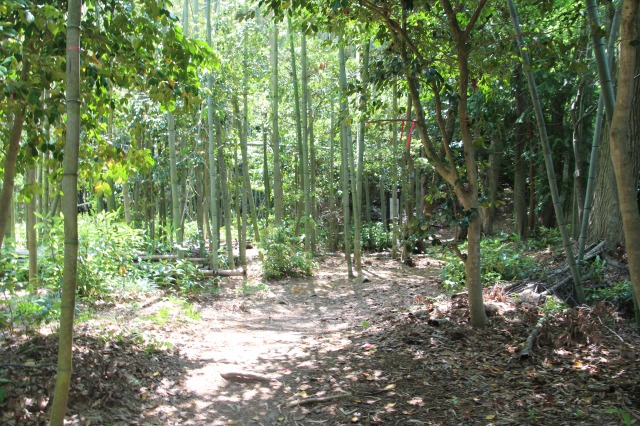 f:id:ksagi:20190630184512j:plain