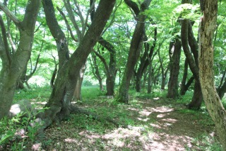 f:id:ksagi:20190630184802j:plain f:id:ksagi:20190630184802j:plain