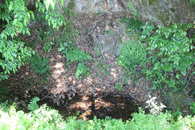 f:id:ksagi:20190630184915j:plain