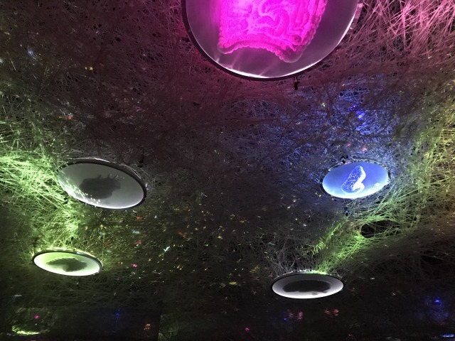 f:id:ksagi:20190702204154j:plain f:id:ksagi:20190702204154j:plain