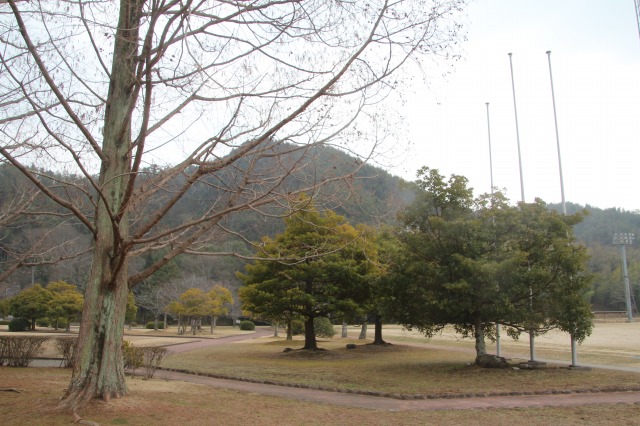 f:id:ksagi:20190703233136j:plain