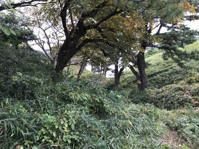 f:id:ksagi:20190809185906j:plain f:id:ksagi:20190809185906j:plain