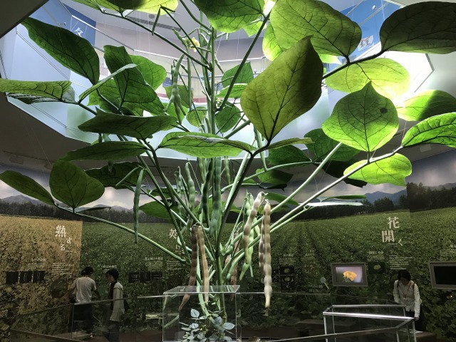 f:id:ksagi:20190811195444j:plain