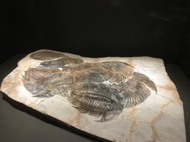 f:id:ksagi:20190824104043j:plain f:id:ksagi:20190824104043j:plain