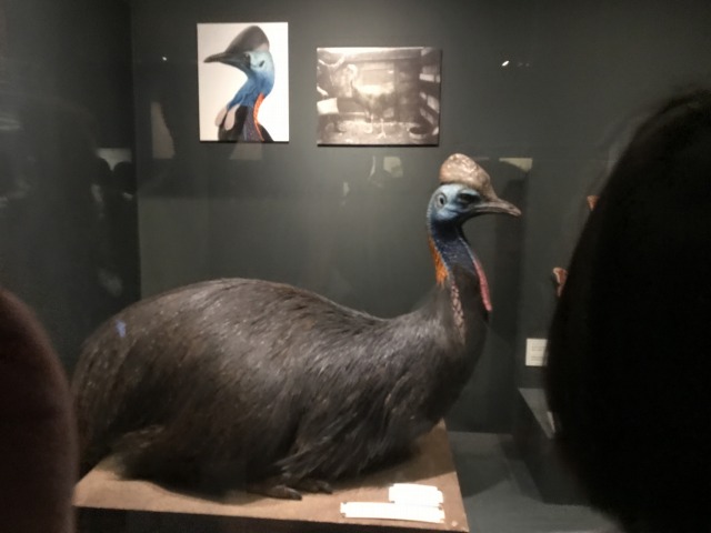 f:id:ksagi:20190824104122j:plain f:id:ksagi:20190824104122j:plain