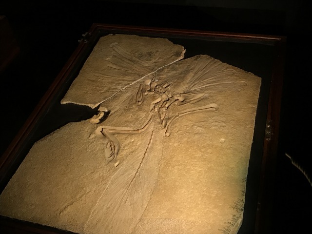 f:id:ksagi:20190824104234j:plain f:id:ksagi:20190824104234j:plain