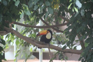 f:id:ksagi:20190825132140j:plain f:id:ksagi:20190825132140j:plain
