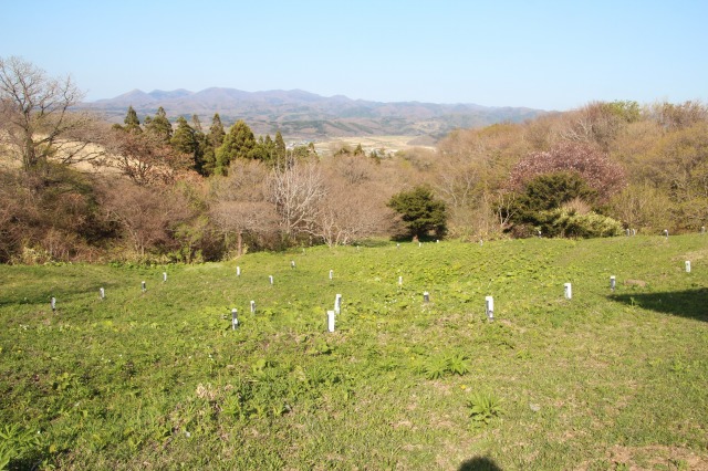 f:id:ksagi:20190825173703j:plain