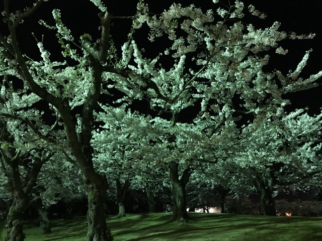 f:id:ksagi:20190825175348j:plain
