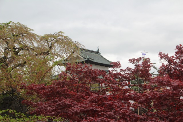 f:id:ksagi:20190825191109j:plain