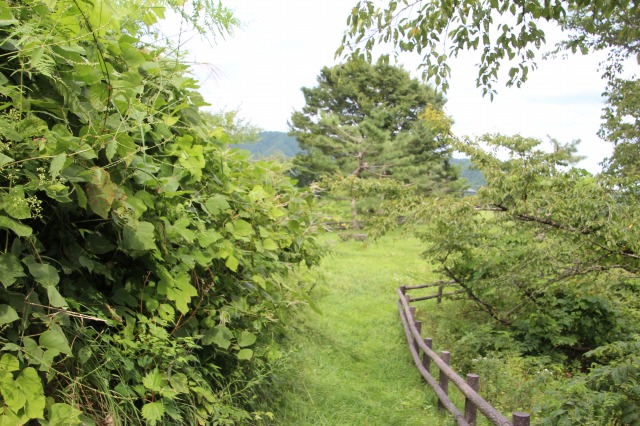 f:id:ksagi:20190907210621j:plain f:id:ksagi:20190907210621j:plain