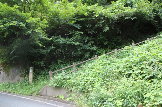 f:id:ksagi:20190907210936j:plain f:id:ksagi:20190907210936j:plain