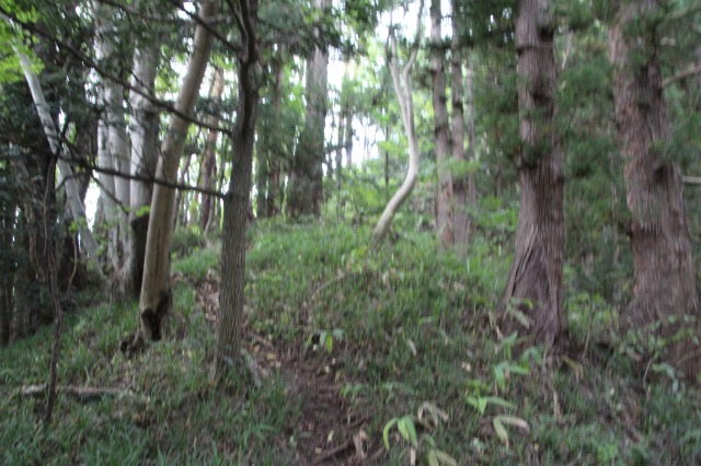 f:id:ksagi:20190907220448j:plain f:id:ksagi:20190907220448j:plain