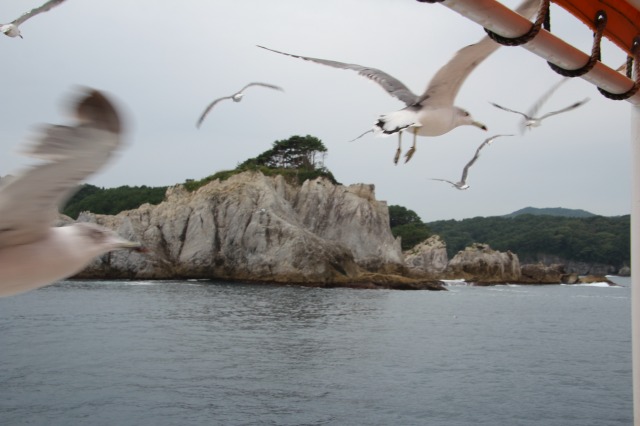 f:id:ksagi:20190907224211j:plain