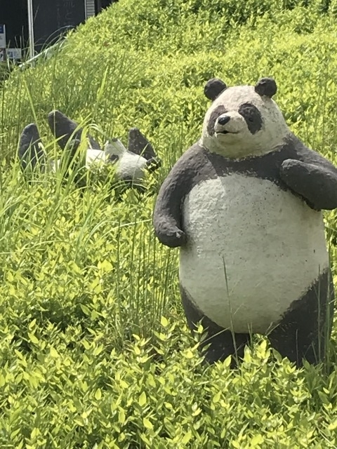 f:id:ksagi:20190908100259j:plain f:id:ksagi:20190908100259j:plain