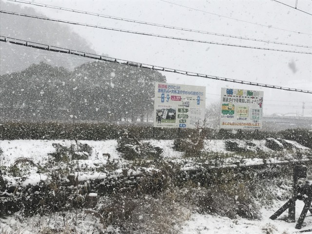 f:id:ksagi:20190914085252j:plain f:id:ksagi:20190914085252j:plain