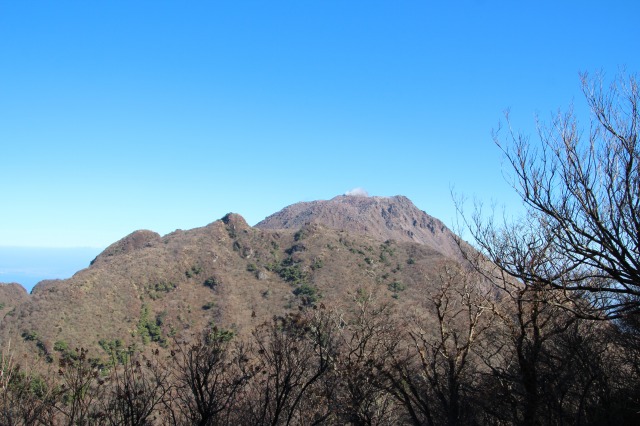 f:id:ksagi:20190914173335j:plain