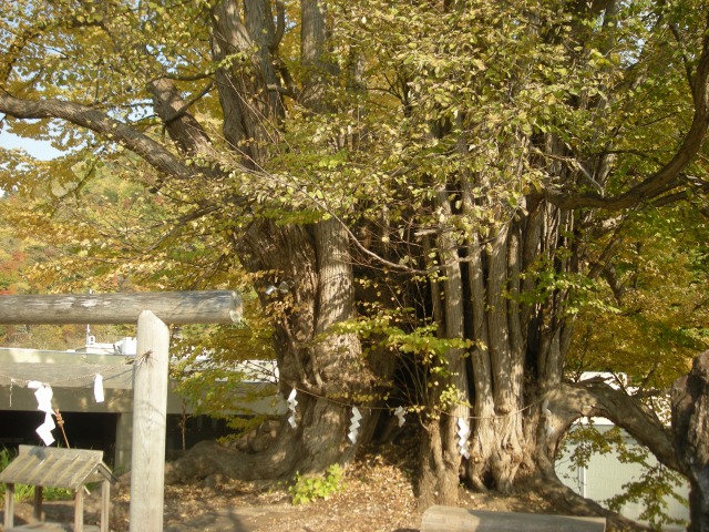 f:id:ksagi:20190918180630j:plain