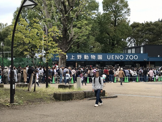 f:id:ksagi:20191025215043j:plain