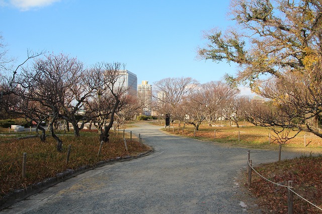 f:id:ksagi:20191212212642j:plain