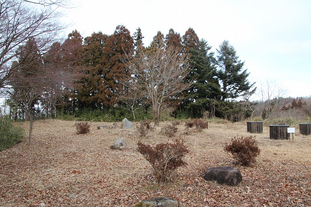 f:id:ksagi:20200210221607j:plain