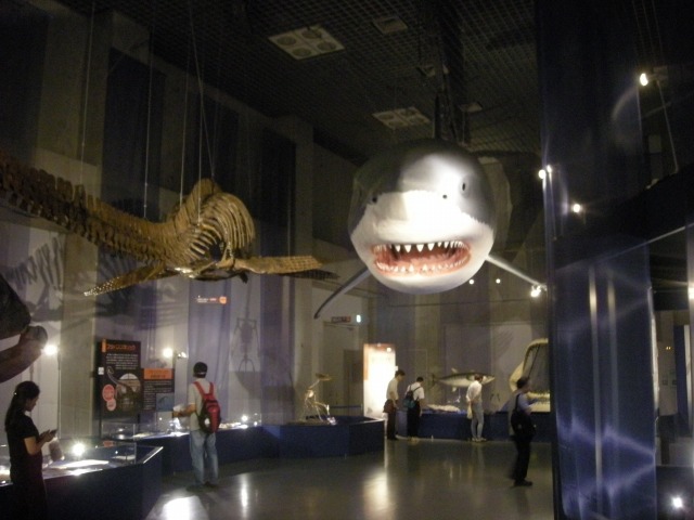 f:id:ksagi:20200430122940j:plain f:id:ksagi:20200430122940j:plain