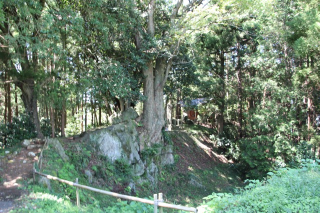 f:id:ksagi:20200430131740j:plain f:id:ksagi:20200430131740j:plain