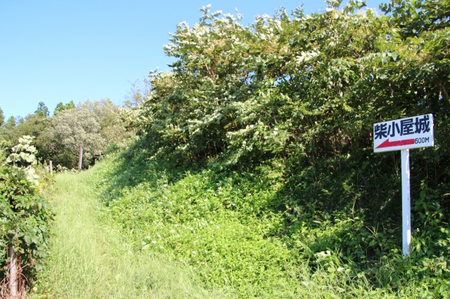 f:id:ksagi:20200430143433j:plain f:id:ksagi:20200430143433j:plain