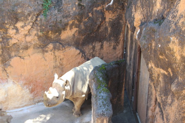 f:id:ksagi:20200430163149j:plain