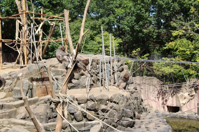 f:id:ksagi:20200430163301j:plain