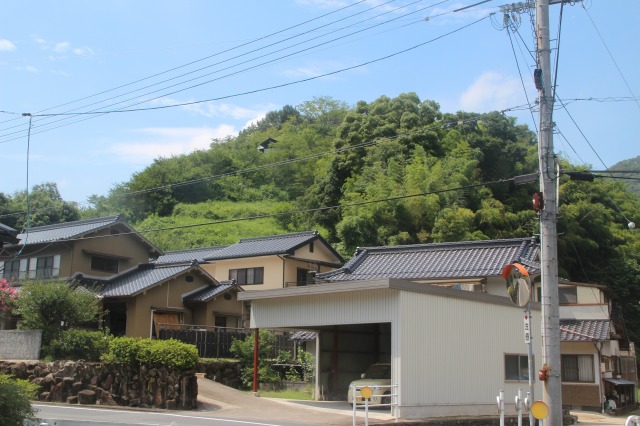 f:id:ksagi:20200508124956j:plain