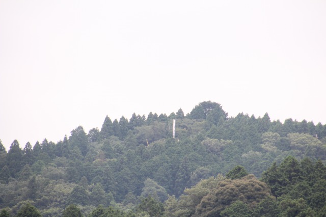 f:id:ksagi:20200729232307j:plain