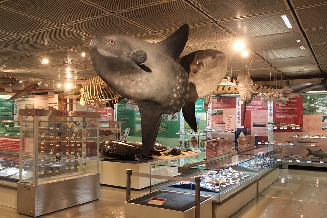 f:id:ksagi:20200917075751j:plain