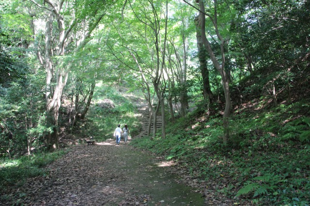 f:id:ksagi:20200921172102j:plain