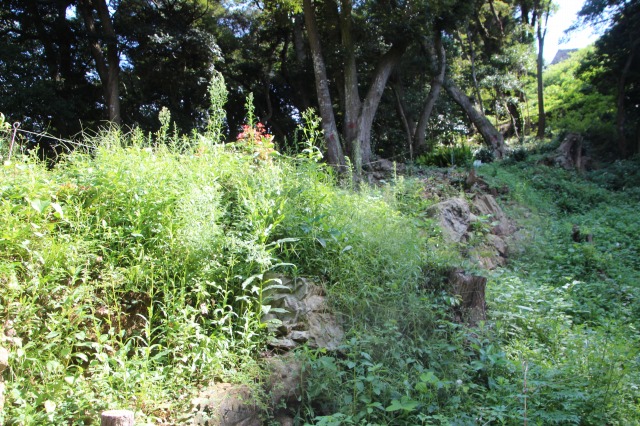 f:id:ksagi:20200921172205j:plain