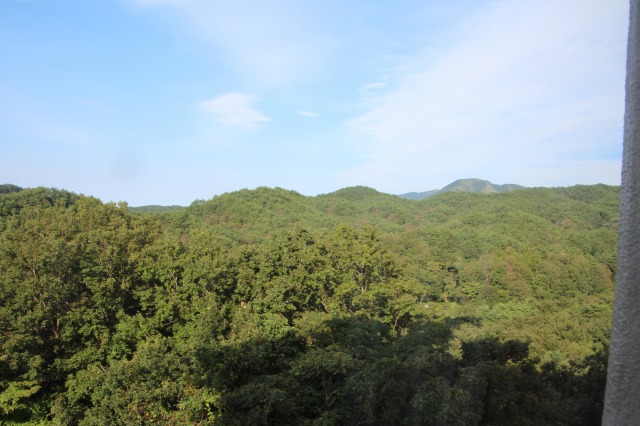 f:id:ksagi:20200921180621j:plain